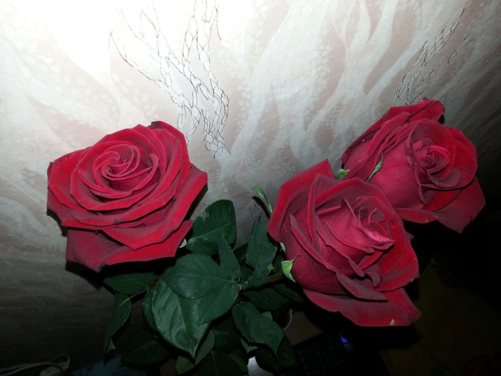 Екатерина Казакова