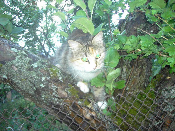 Оля Щербакова