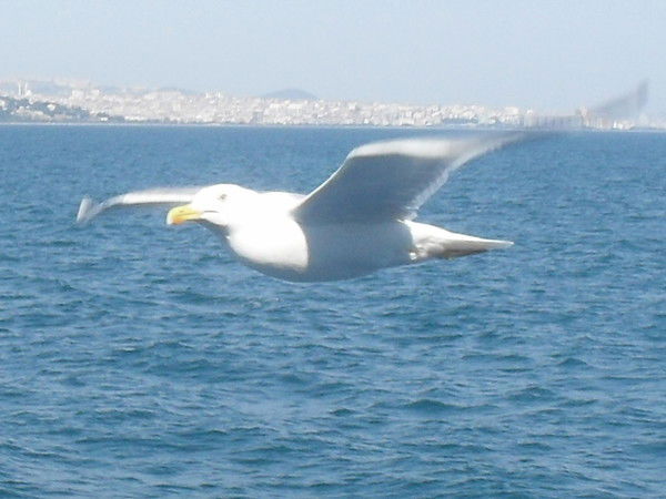 Татьяна Бедарева