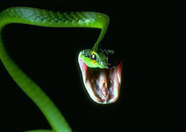 Сергей Жметко