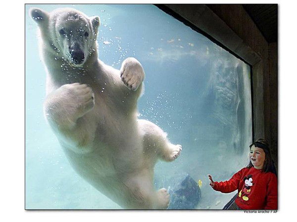 Виталий Ким