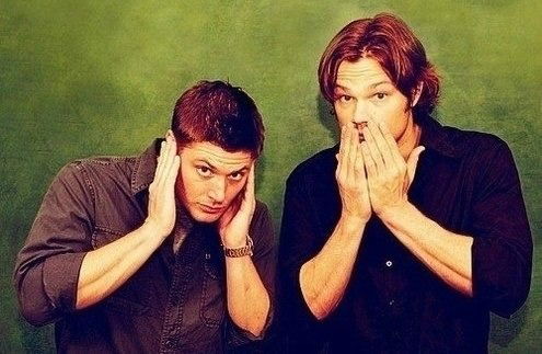 Дарья Бойцова