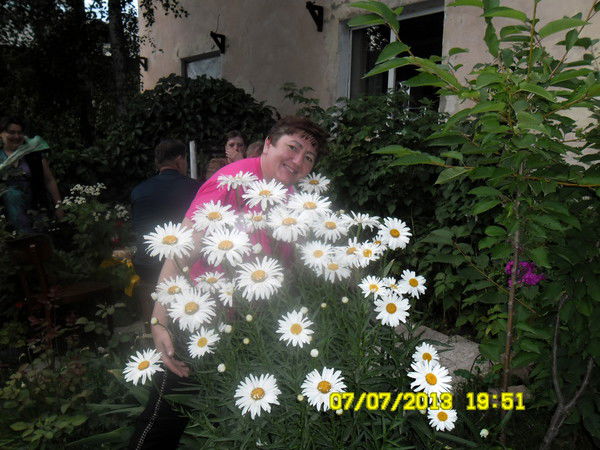 Елена Золотарева