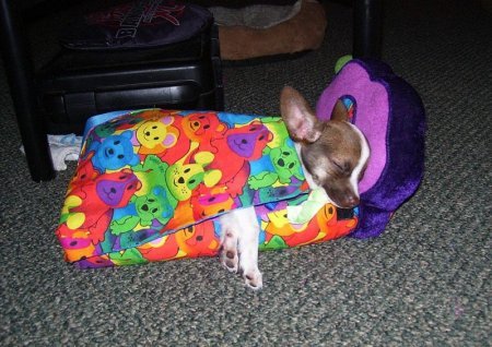 Яна Иванова