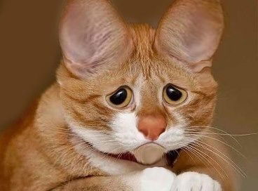 Вадим Ослов