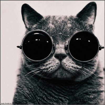 Надежда Шорохова