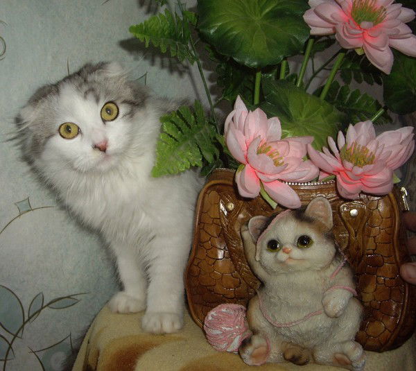 Николай Пустовый