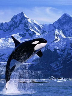 Кристина Гаврусева