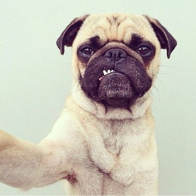 Михаил Урядников