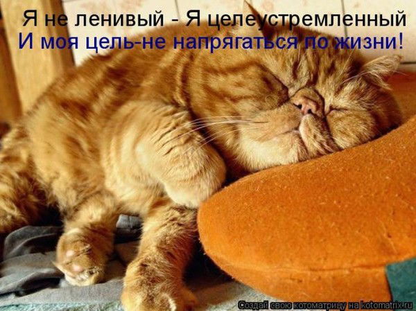 Алексей Капралов