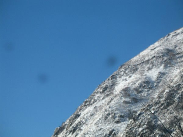 Ирина Малиновская