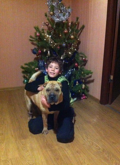 Тимур Корнев