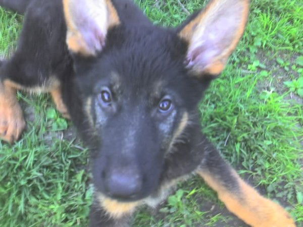 Алексей Соломеин