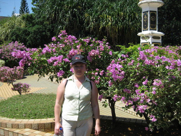 Елена Тарасова