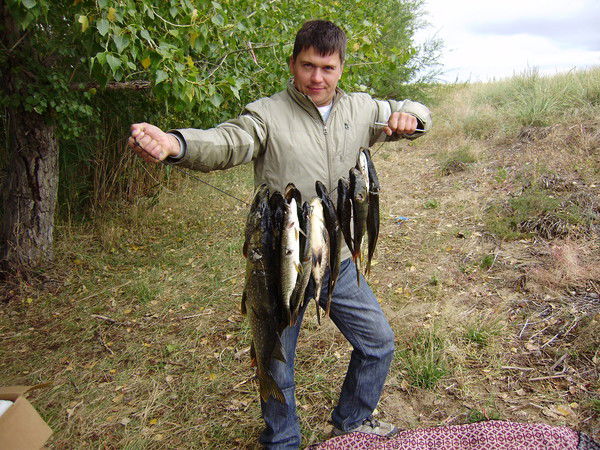 Александр Кушнарев