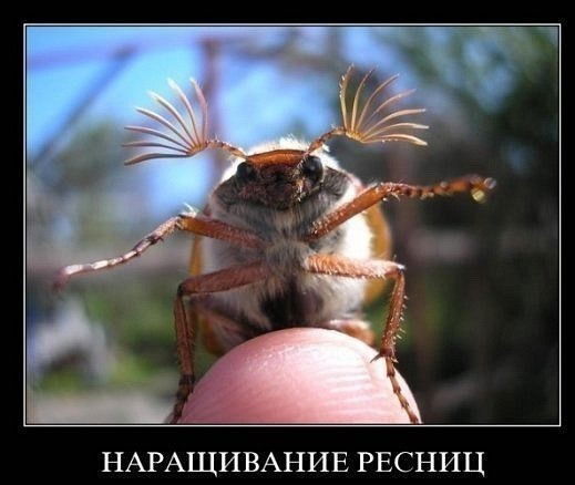 Уход За Собой