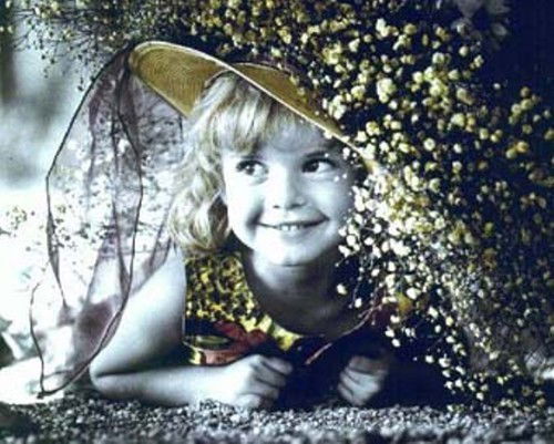 Наталья Полтавская