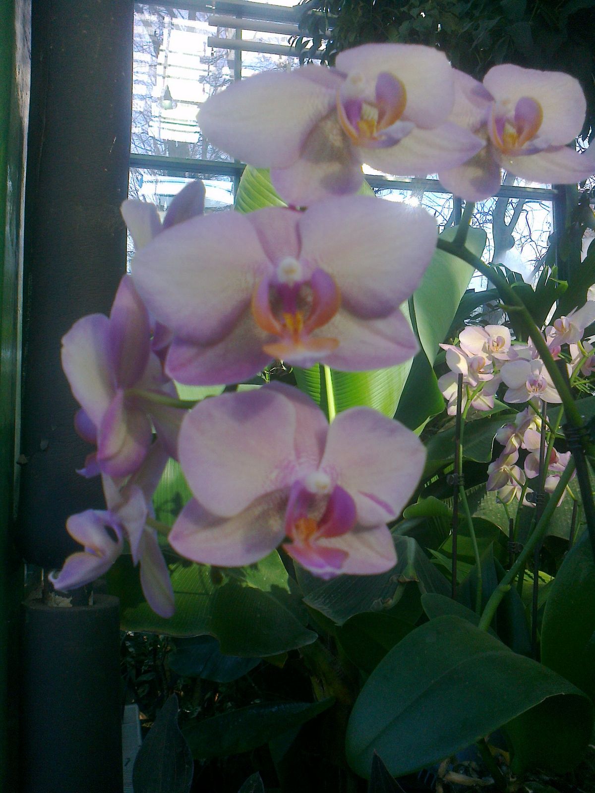 Татьяна Федорова