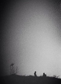 Юля Егорова