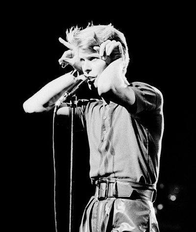 Полина Акула