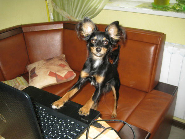 Сабина Корельская