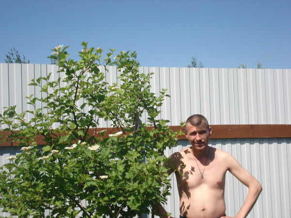 Александр Асеев