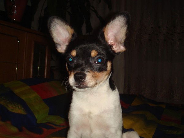 Юлия Дульнева