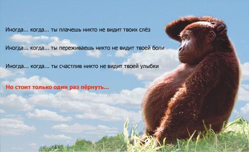 Александр Данилов