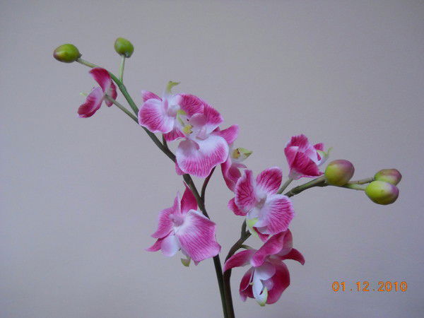 Татьяна Тогушова