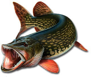 Рыболов-Мастер Fishmaster-Nn.ru