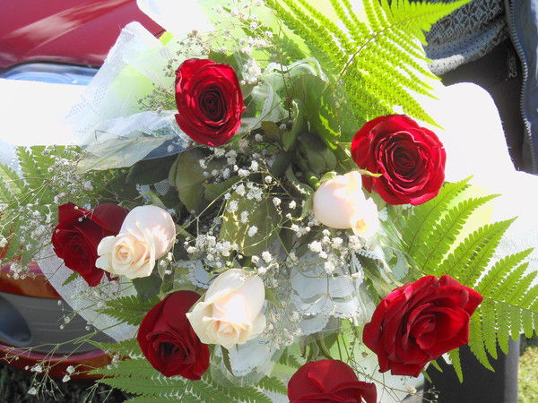 Екатерина Тимошина