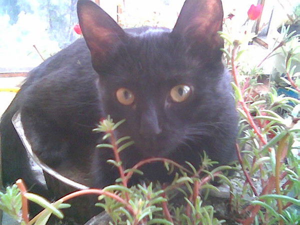 Нина Брезгина