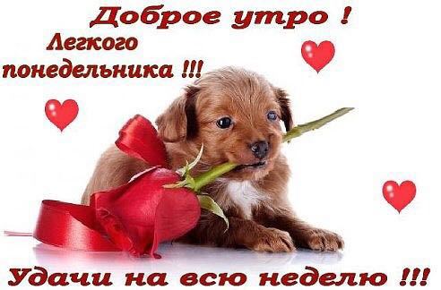 Раушан Пшенбаева