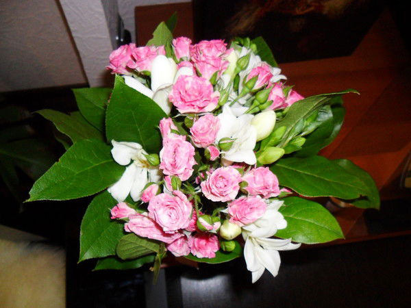 Евгения Капустина