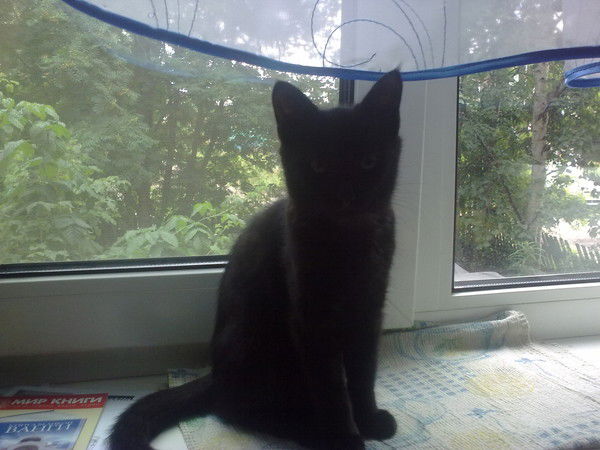 Оксана Коробец