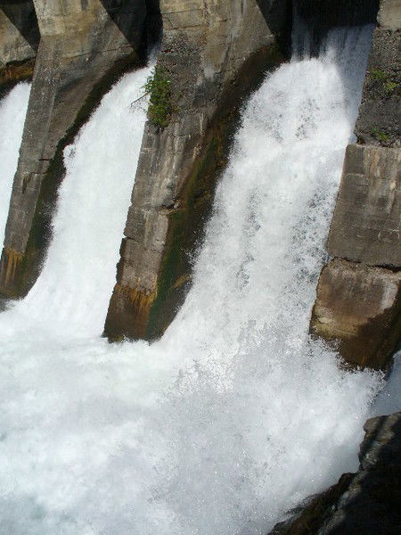 Даниил Бережнов