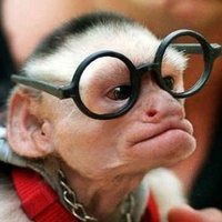 Наталья Полотова