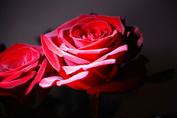 Маша Андреева