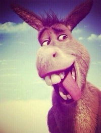 Алмаз Абдуллин