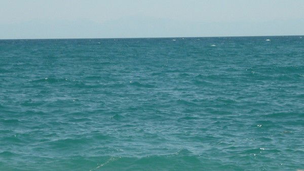 Дмитрий Новиков