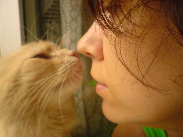 Елена Лысеная