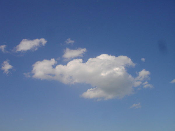 Алена Михалева