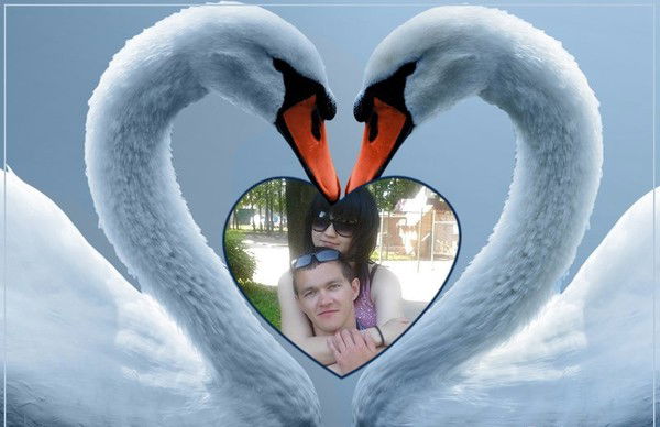 Алексей Павлов