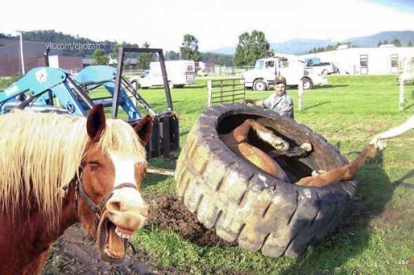 Максим Шапов