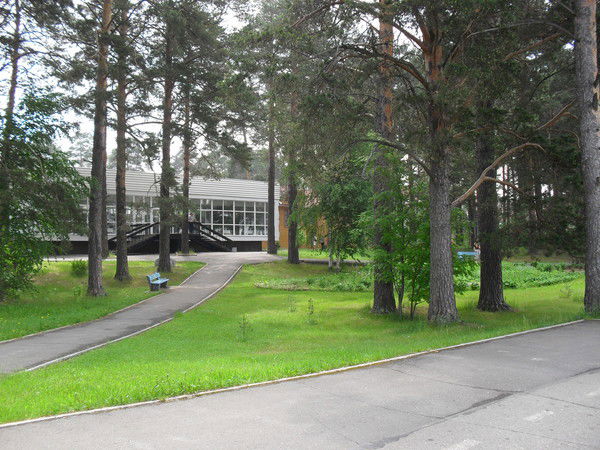 Николай Никулин