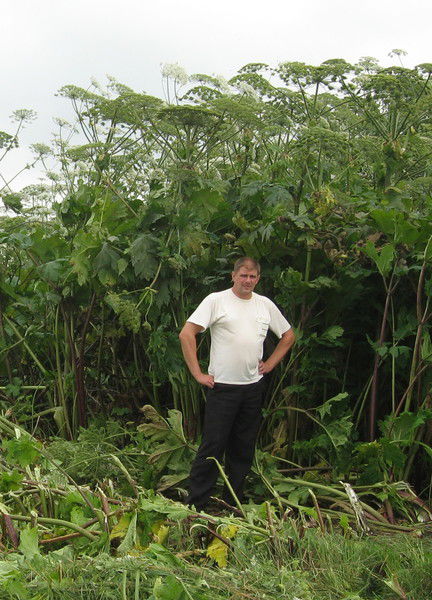 Геннадий Горланов