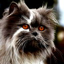 Юрий Дуплин