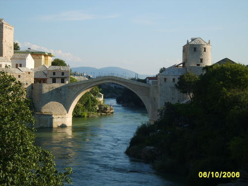 Элина Гвоздич