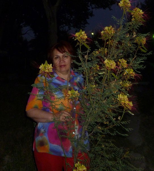 Фатима Сурхаева