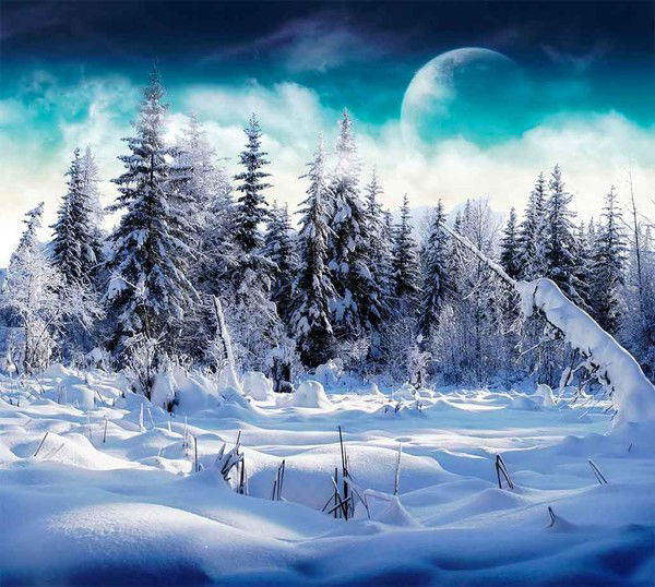 Нышанбай Балабаев